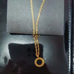 Elegant  Stainless Steel Gold Circle Roman Numeral Pendant Necklace.